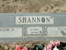 Shannon Stone 286