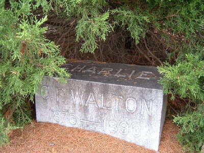 Walton, C. F.
