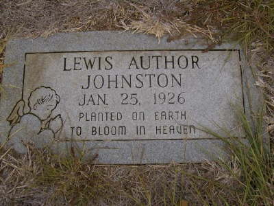 Johnston, Lewis Author
