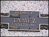 Tamez, Pedro C and Anita M.JPG