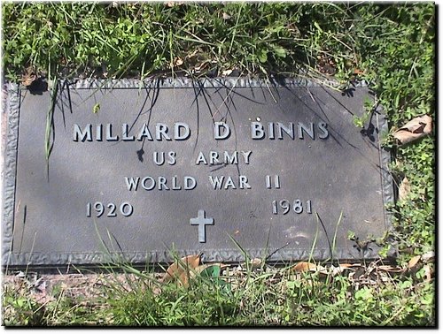 Binns, Millard (military marker).JPG