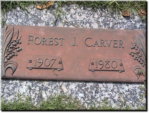 Carver, Forest.JPG