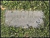 Brown, Linnet.JPG