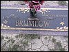 Brumlow, J W and Nancy Elizabeth.JPG