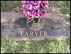 Carver, Danny Ray and Sarah F Harper.JPG