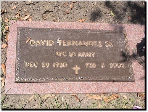 Fernandez, David Sr (military marker).JPG