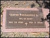 Fernandez, David Sr (military marker).JPG