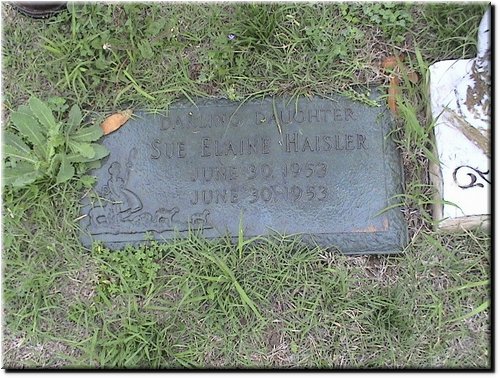 Haisler, Sue Elaine.JPG