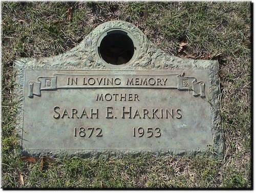 Harkins, Sarah.JPG