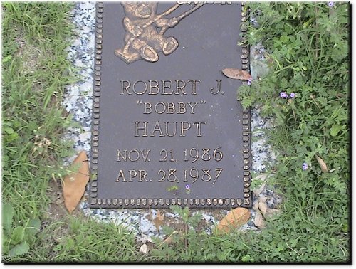 Haupt, Robert J.JPG