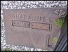 Lopez, Guadalupe R.JPG