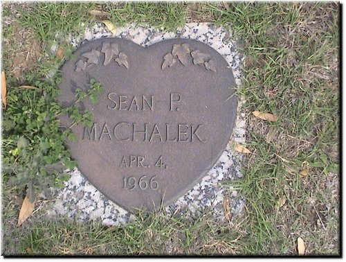 Machalek, Sean P.JPG