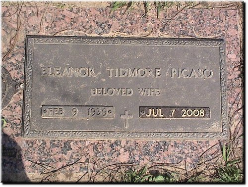 Picaso, Eleanor Tidmore.JPG