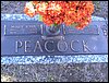 Peacock, Mary and Rev Allen.jpg