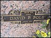 Pole, David P.JPG