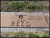 Reed, Elmer G Jr.JPG