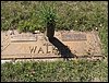 Walker, Mary Elizabeth and Cecil Olan.JPG