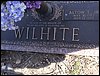 Wilhite, Alton T Jr.JPG