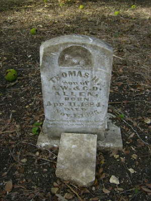 Allen, Thomas H.