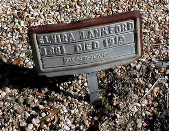 lankford02.jpg