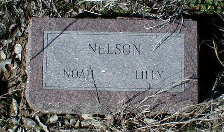 nelson01.jpg