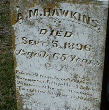 hawkins2a.jpg