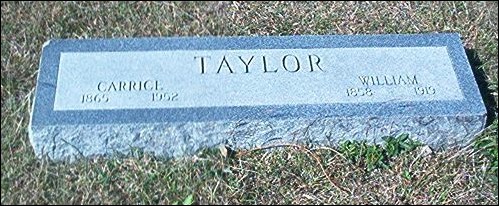 taylor3.jpg