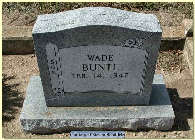 bunte_wade