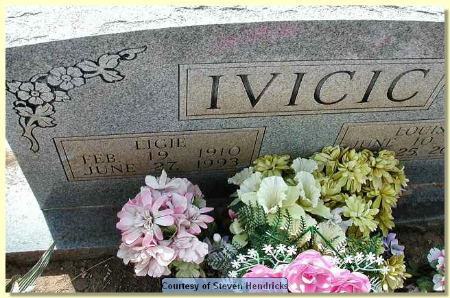 ivicic_ligie