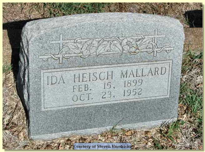 mallard_ida_heisch