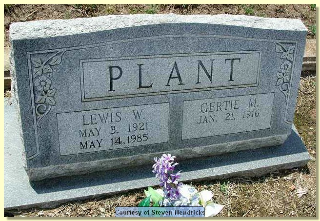 plant_lewis_gertie