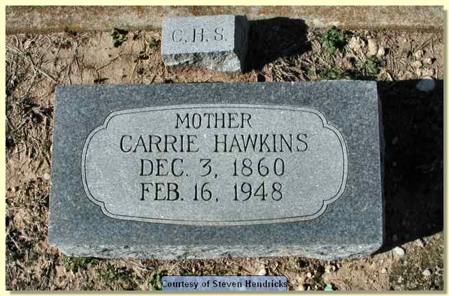 shannon_carrie_hawkins