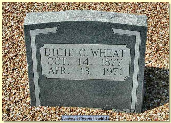 wheat_dicie_c