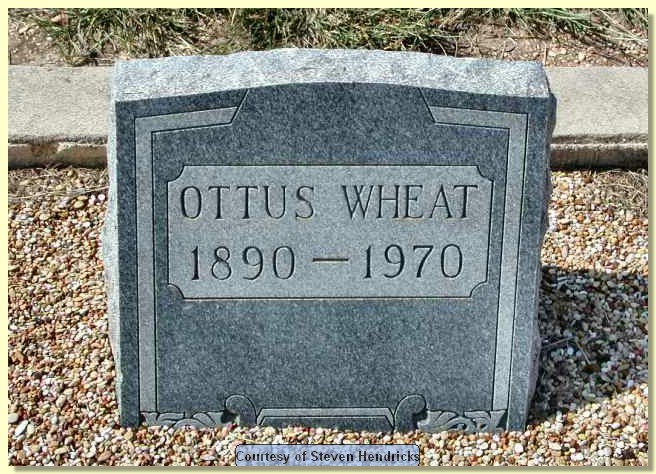 wheat_ottus