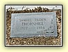 thornhill_samuel_tilden.jpg 44.6 KB