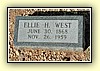 west_ellie_h.jpg 41.0 KB