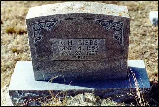 gibbs8.jpg