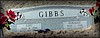 gibbs6.jpg