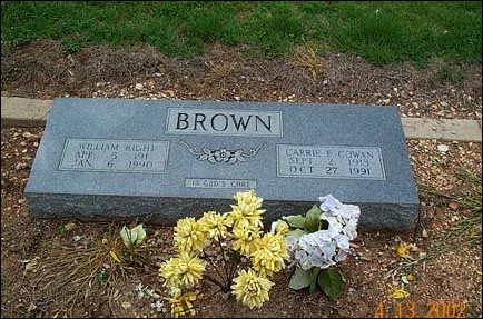 brown1.jpg