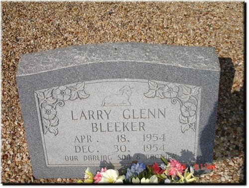 Bleeker, Larry Glenn.JPG