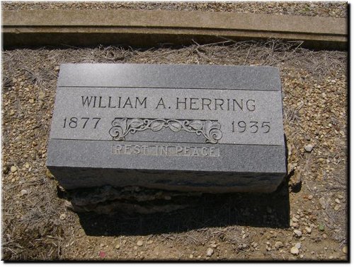 Herring, William A..JPG