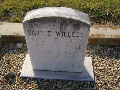 Willess, Barnie