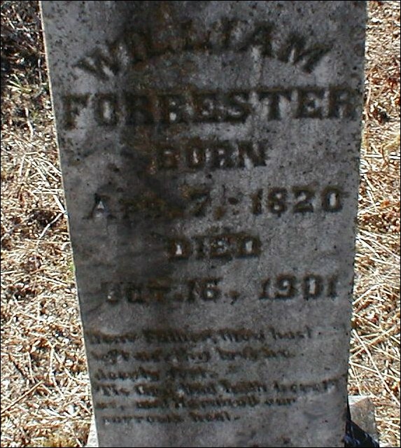 forrester1a.jpg