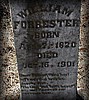 forrester1a.jpg