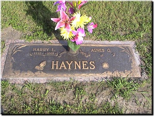 Haynes, Harry and Agnes.JPG