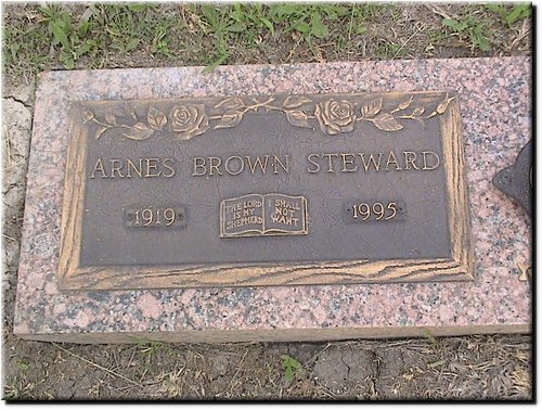 Steward, Arnes Brown.JPG